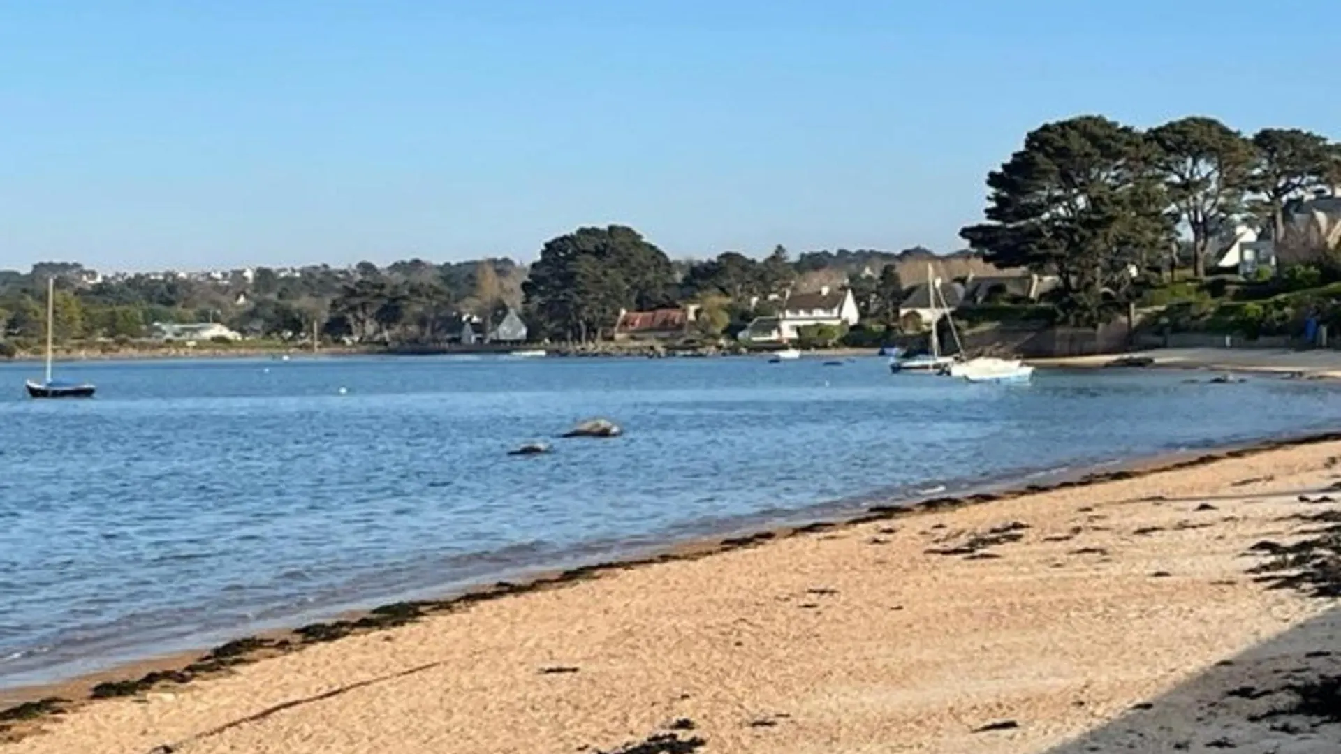 Hébergement de vacances Maison Renovee Proche Plages De Tregastel - Fr-1-542-68 France